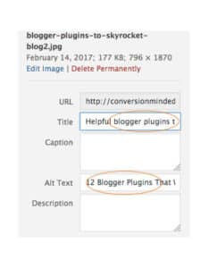 SEO for bloggers tip: add your keyword to the alt text of your image.