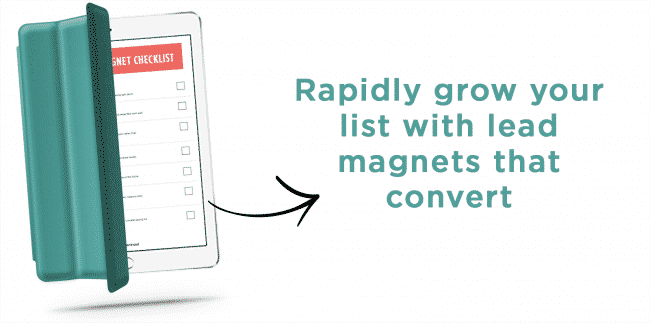 Download the Lead Magnet Checklist