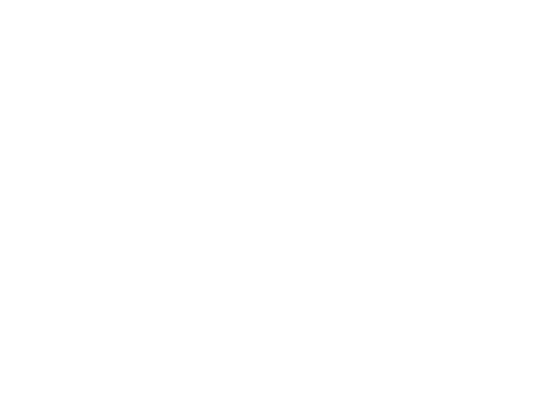 logo placeholder