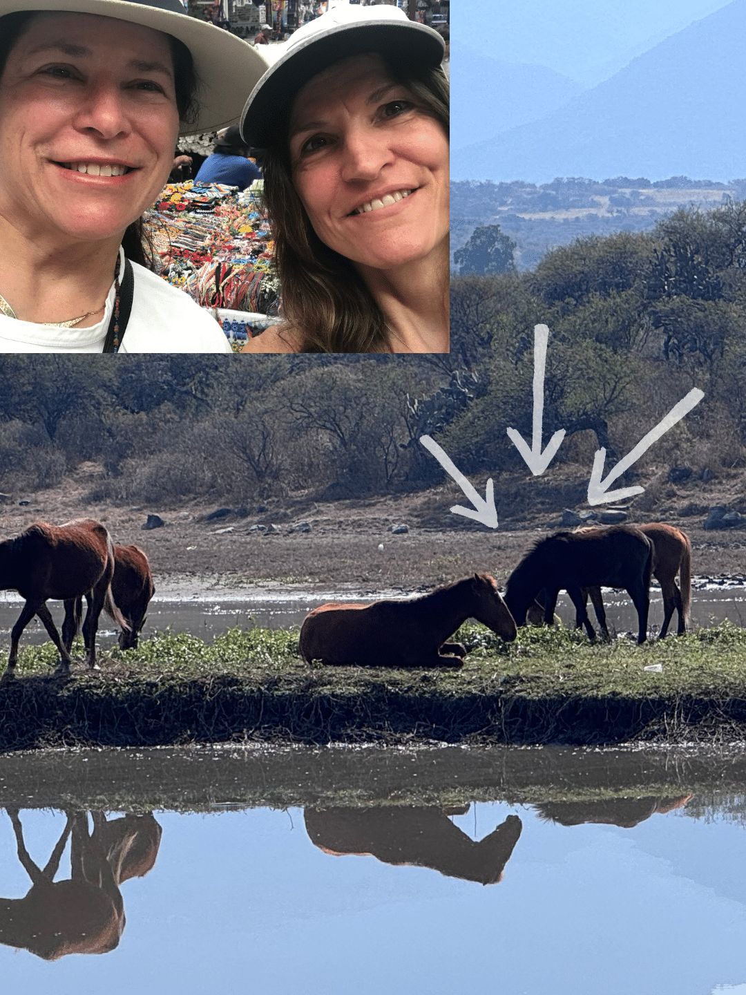 Photo Collage Demo